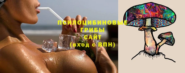 а пвп мука Богородицк