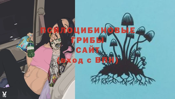 а пвп мука Богородицк