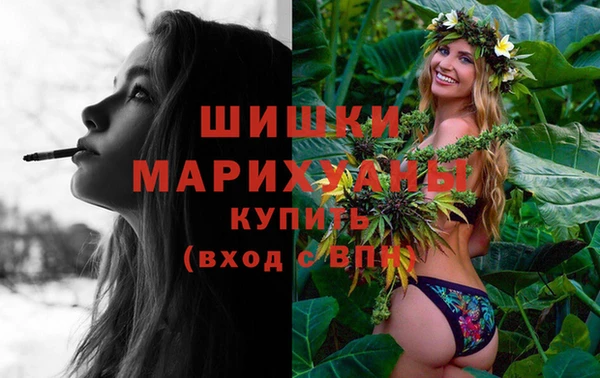 винт Богданович