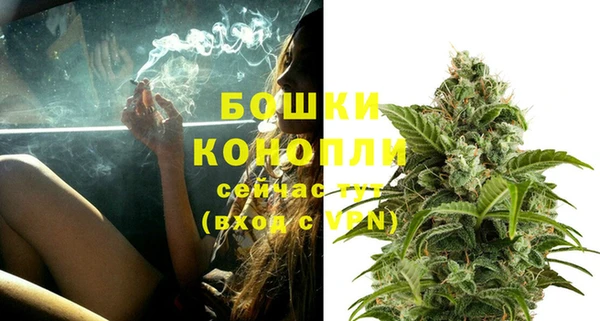 винт Богданович