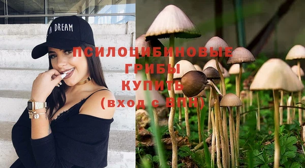 винт Богданович