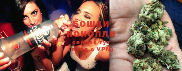 винт Богданович