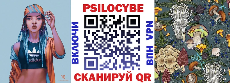 Псилоцибиновые грибы GOLDEN TEACHER Нерюнгри
